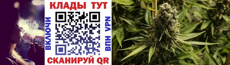 Бошки Шишки Протвино