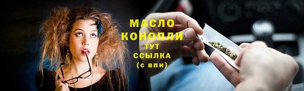 меф Ельня