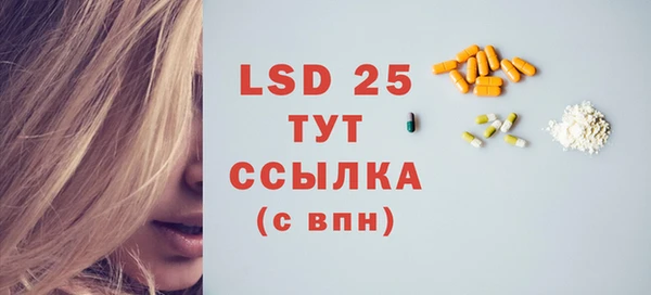 меф Ельня