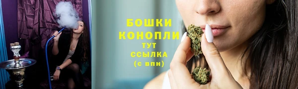 меф Ельня