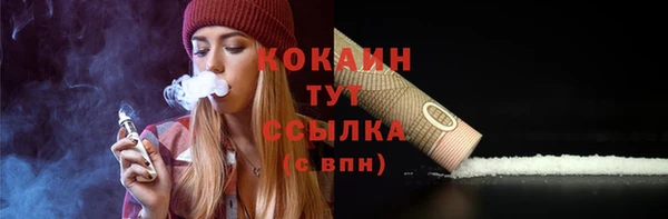 меф Ельня