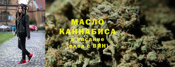 меф Ельня