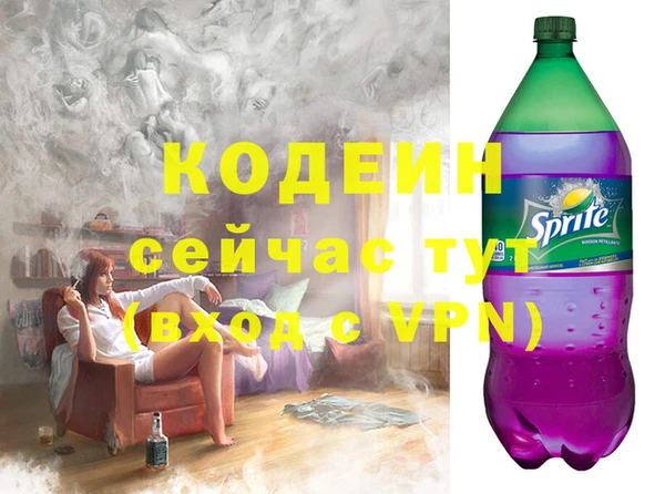 меф Ельня