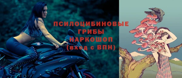 твердый Елабуга
