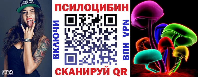 Псилоцибиновые грибы Cubensis Купить Протвино